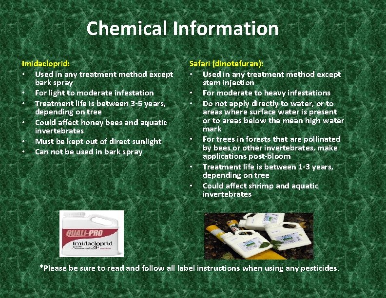 Chemical Information Imidacloprid: • Used in any treatment method except bark spray • For