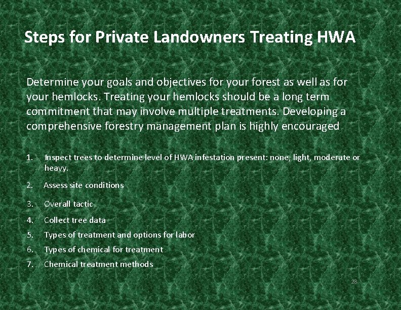 Steps for Private Landowners Treating HWA Determine your goals and objectives for your forest