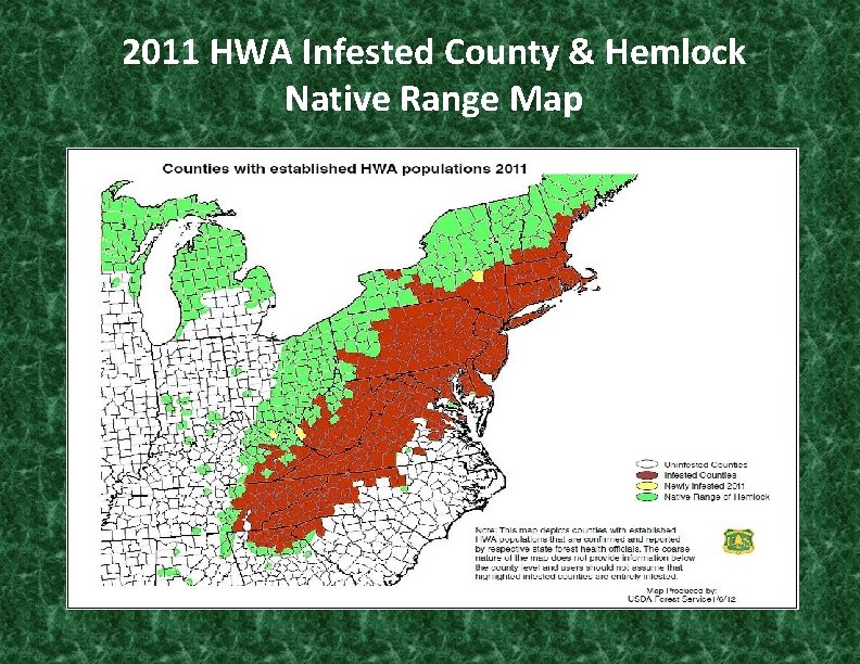 2011 HWA Infested County & Hemlock Native Range Map 