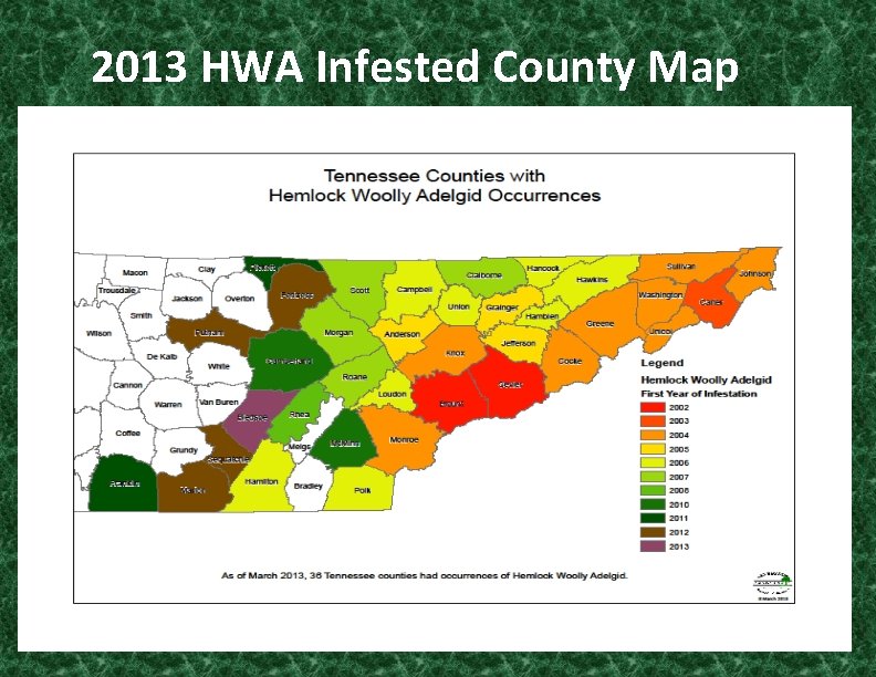 2013 HWA Infested County Map 
