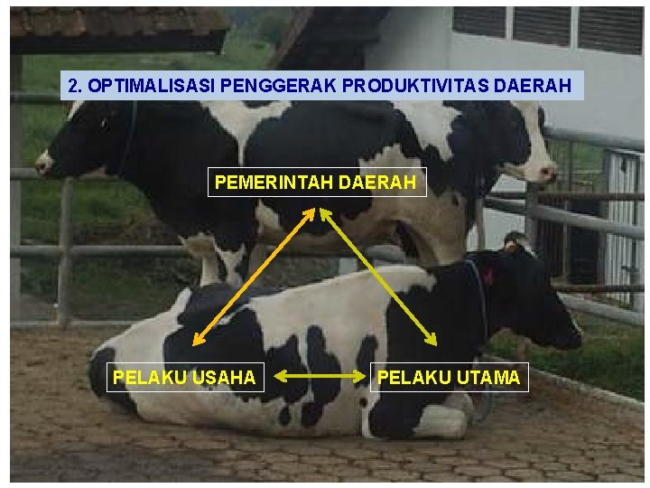 2. OPTIMALISASI PENGGERAK PRODUKTIVITAS DAERAH PEMERINTAH DAERAH PELAKU USAHA PELAKU UTAMA 