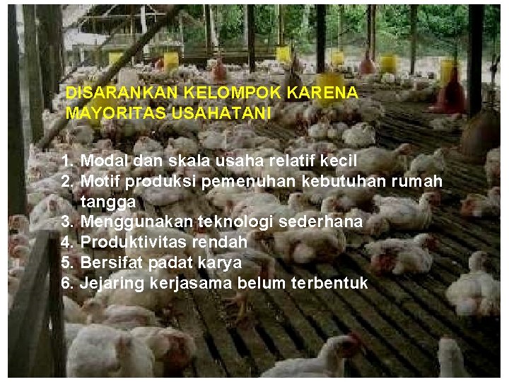 DISARANKAN KELOMPOK KARENA MAYORITAS USAHATANI 1. Modal dan skala usaha relatif kecil 2. Motif