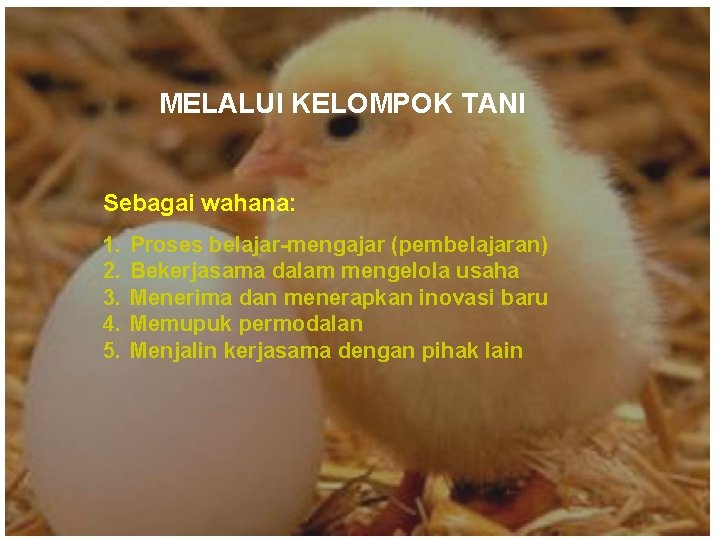 MELALUI KELOMPOK TANI Sebagai wahana: 1. 2. 3. 4. 5. Proses belajar-mengajar (pembelajaran) Bekerjasama