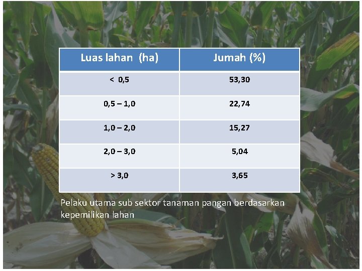 Luas lahan (ha) Jumah (%) < 0, 5 53, 30 0, 5 – 1,