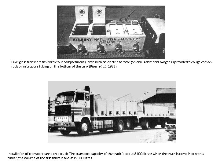 Fiberglass transport tank with four compartments, each with an electric aerator (arrow). Additional oxygen