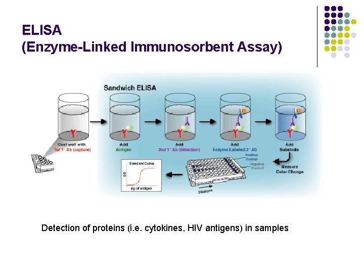 ELISA (Enzyme-Linked Immunosorbent Assay) Detection of proteins (i. e. cytokines, HIV antigens) in samples