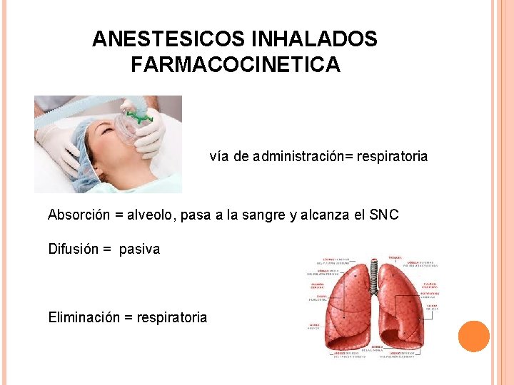 ANESTESICOS INHALADOS FARMACOCINETICA vía de administración= respiratoria Absorción = alveolo, pasa a la sangre