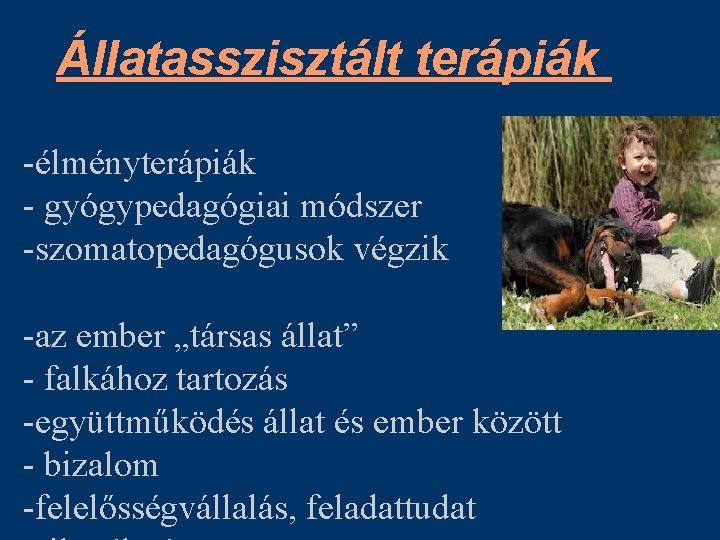 Állatasszisztált terápiák -élményterápiák - gyógypedagógiai módszer -szomatopedagógusok végzik -az ember „társas állat” - falkához