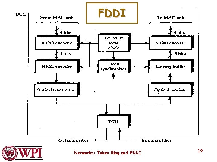 FDDI Networks: Token Ring and FDDI 19 