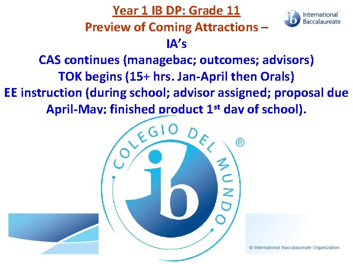 Year 1 IB DP: Grade 11 Preview of Coming Attractions – IA’s CAS continues