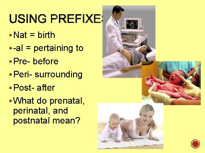 § Nat = birth § -al = pertaining to § Pre- before § Peri- § Nat = birth § -al = pertaining to § Pre- before § Peri-