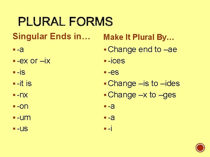 Singular Ends in… Make It Plural By… § -a § Change end to –ae