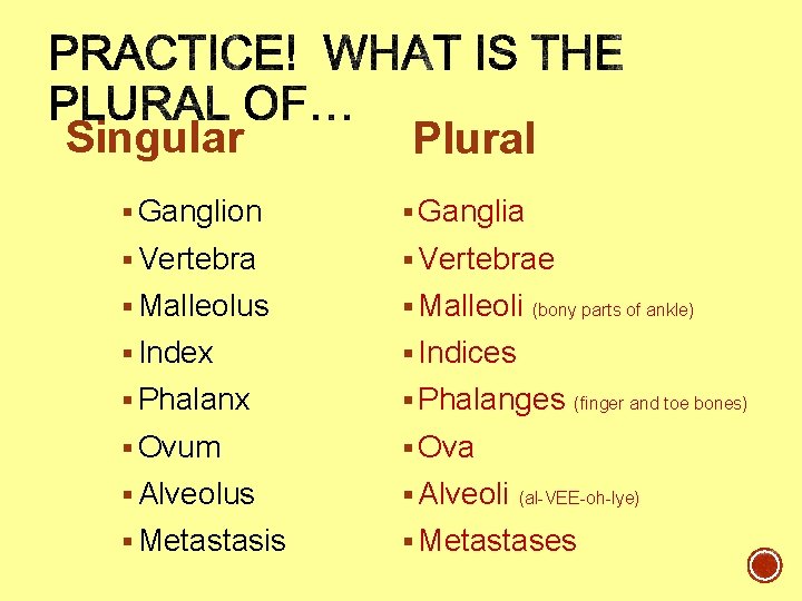 Singular Plural § Ganglion § Ganglia § Vertebrae § Malleolus § Malleoli § Index