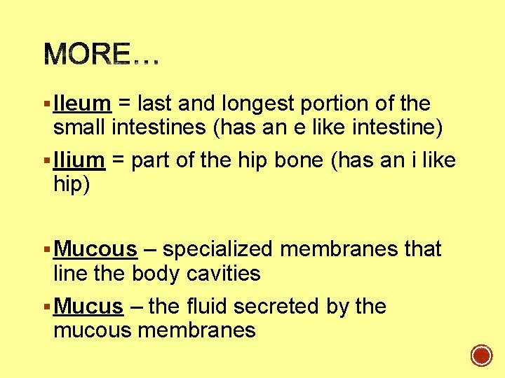 § Ileum = last and longest portion of the small intestines (has an e