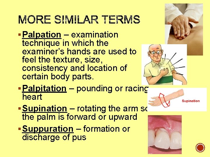 § Palpation – examination technique in which the examiner’s hands are used to feel § Palpation – examination technique in which the examiner’s hands are used to feel