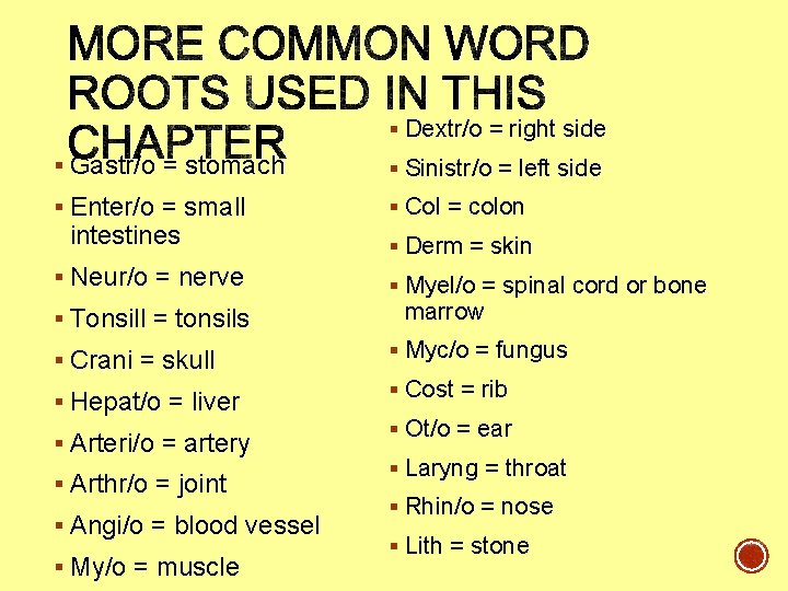 § Dextr/o = right side § Gastr/o = stomach § Sinistr/o = left side