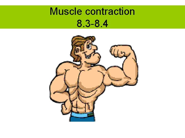 Muscle contraction 8. 3 -8. 4 