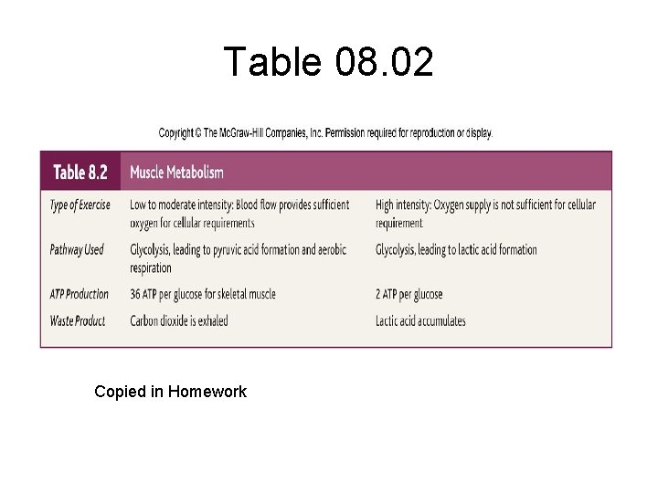 Table 08. 02 Copied in Homework 