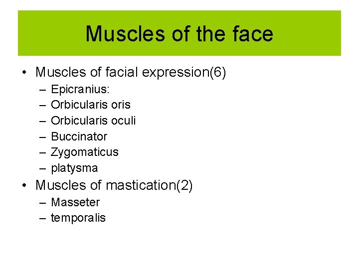 Muscles of the face • Muscles of facial expression(6) – – – Epicranius: Orbicularis