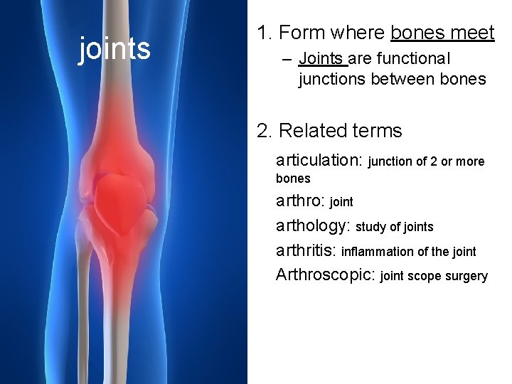 joints 1. Form where bones meet – Joints are functional junctions between bones 2.