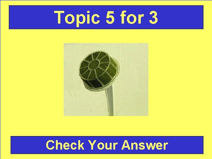 Topic 5 for 3 Check Your Answer 