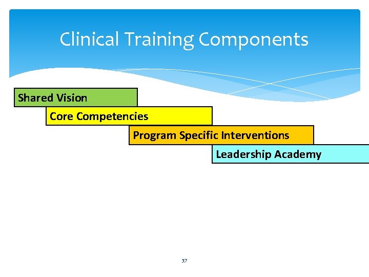 Clinical Training Components Shared Vision Core Competencies Program Specific Interventions Leadership Academy 37 