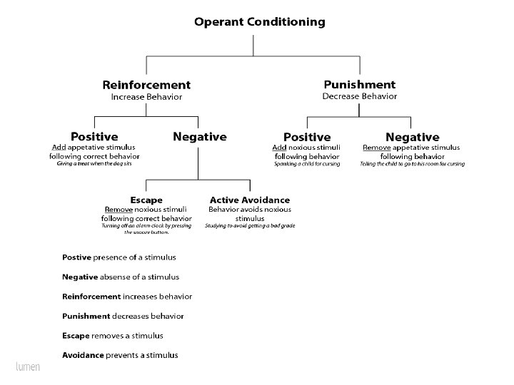 Operant Conditioning 