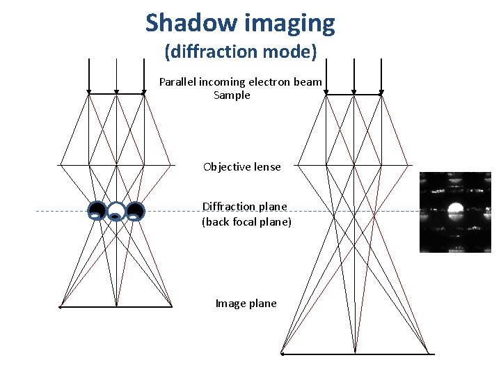 Shadow imaging (diffraction mode) Parallel incoming electron beam Sample Objective lense Diffraction plane (back