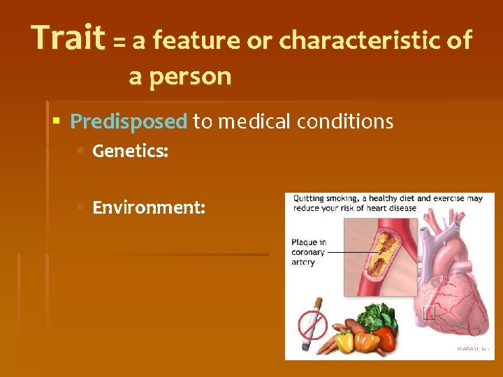 Trait = a feature or characteristic of a person § Predisposed to medical conditions