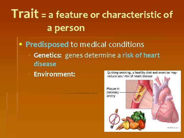 Trait = a feature or characteristic of a person § Predisposed to medical conditions