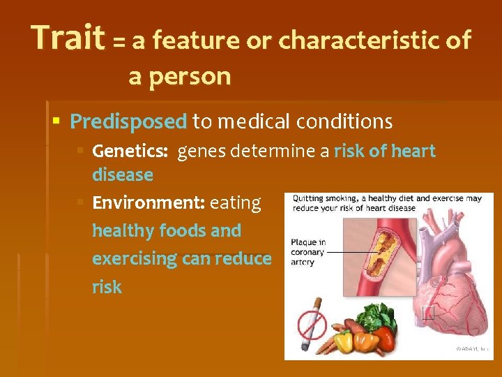 Trait = a feature or characteristic of a person § Predisposed to medical conditions
