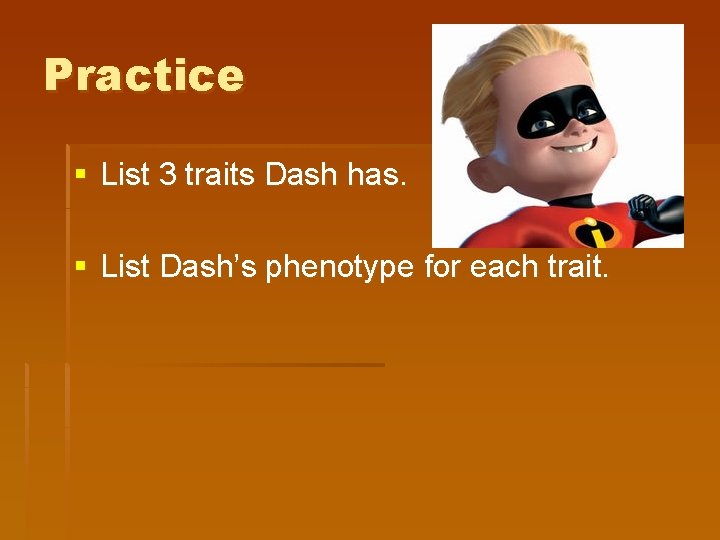 Practice § List 3 traits Dash has. § List Dash’s phenotype for each trait.