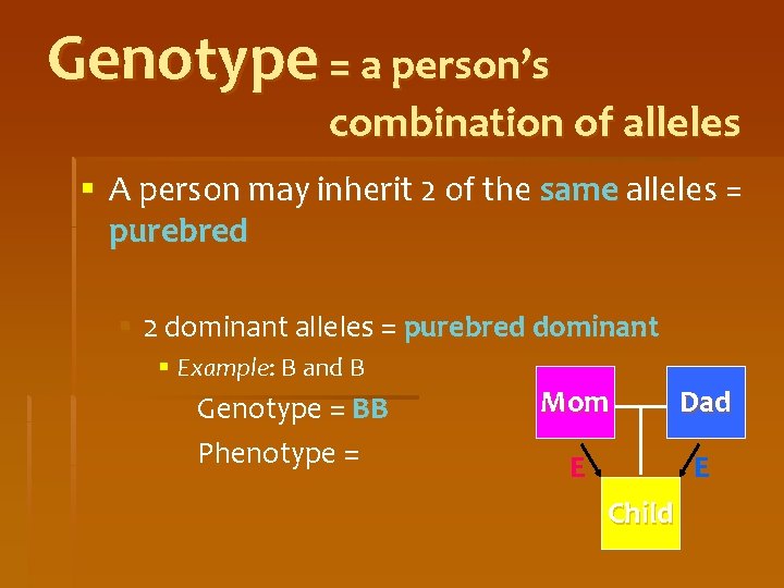 Genotype = a person’s combination of alleles § A person may inherit 2 of