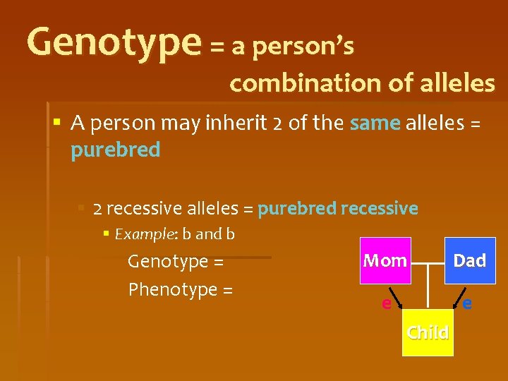 Genotype = a person’s combination of alleles § A person may inherit 2 of