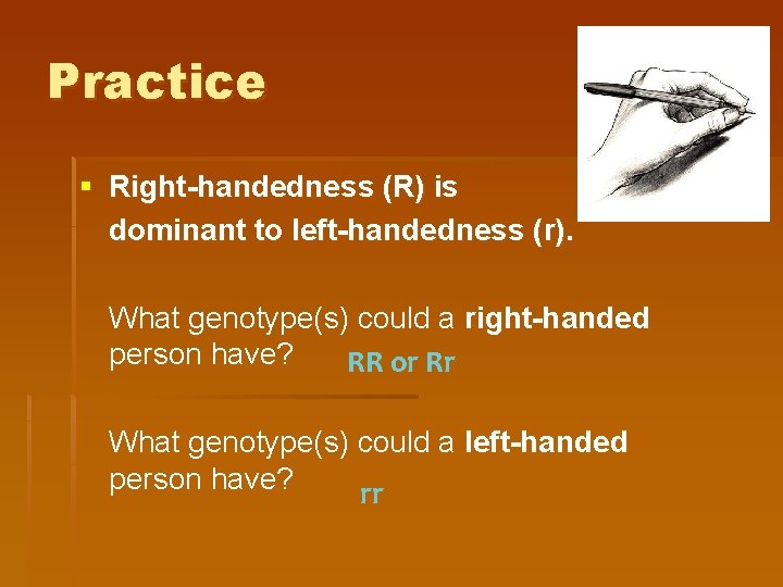 Practice § Right-handedness (R) is dominant to left-handedness (r). What genotype(s) could a right-handed