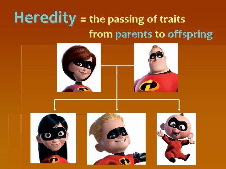 Heredity = the passing of traits from parents to offspring 
