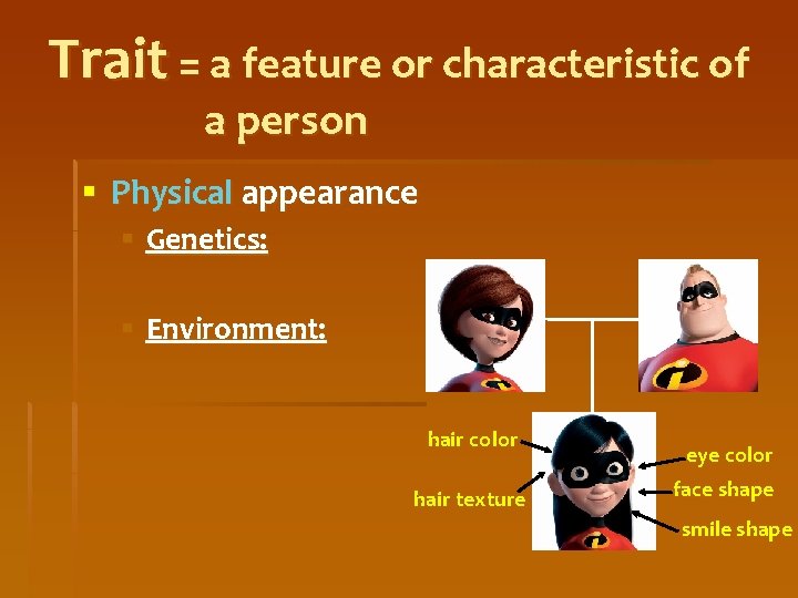 Trait = a feature or characteristic of a person § Physical appearance § Genetics: