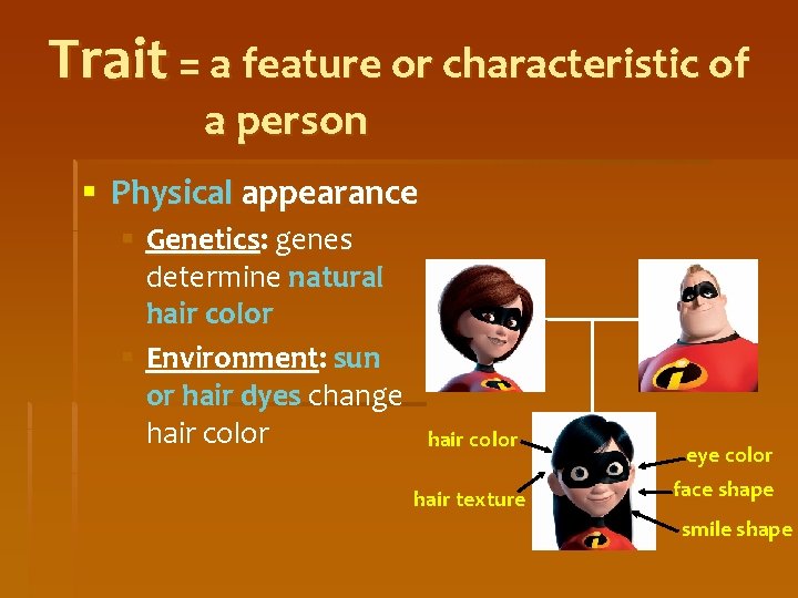 Trait = a feature or characteristic of a person § Physical appearance § Genetics:
