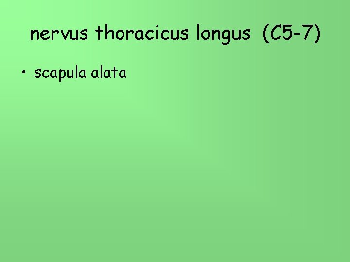 nervus thoracicus longus (C 5 -7) • scapula alata 