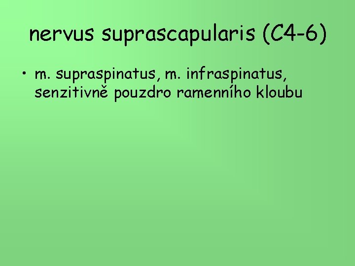 nervus suprascapularis (C 4 -6) • m. supraspinatus, m. infraspinatus, senzitivně pouzdro ramenního kloubu