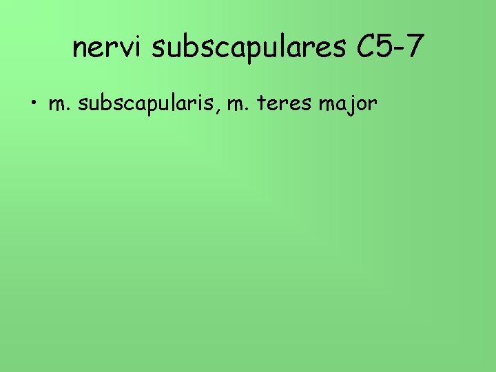 nervi subscapulares C 5 -7 • m. subscapularis, m. teres major 