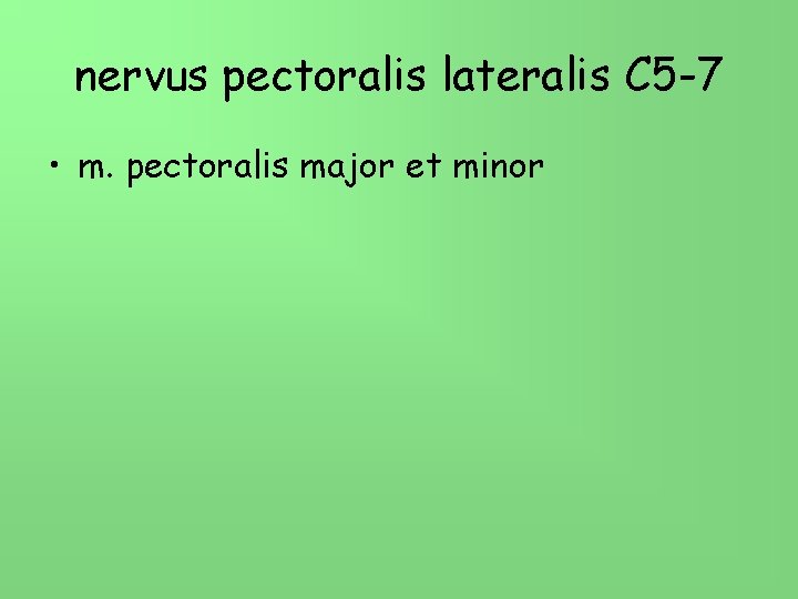 nervus pectoralis lateralis C 5 -7 • m. pectoralis major et minor 