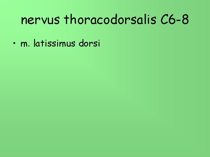 nervus thoracodorsalis C 6 -8 • m. latissimus dorsi 