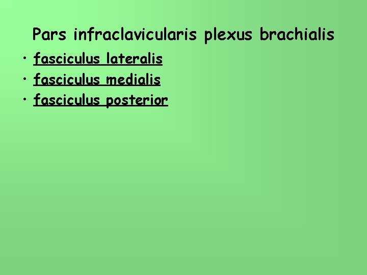 Pars infraclavicularis plexus brachialis • fasciculus lateralis • fasciculus medialis • fasciculus posterior 
