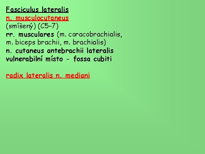 Fasciculus lateralis n. musculocutaneus (smíšený) (C 5– 7) rr. musculares (m. coracobrachialis, m. biceps