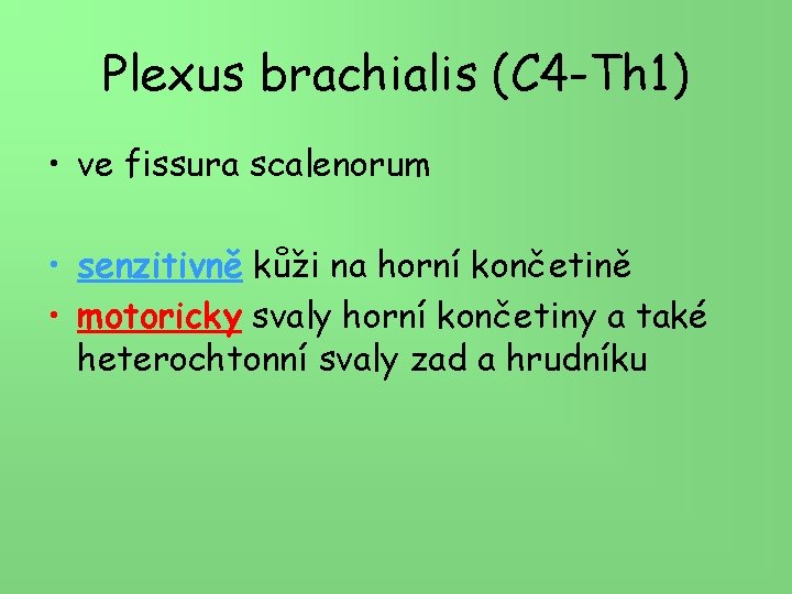 Plexus brachialis (C 4 -Th 1) • ve fissura scalenorum • senzitivně kůži na