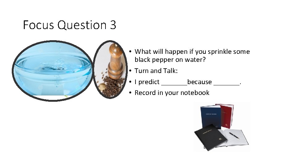 Focus Question 3 • What will happen if you sprinkle some black pepper on