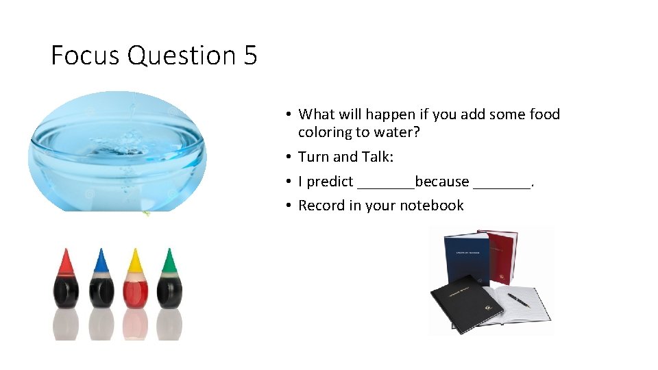 Focus Question 5 • What will happen if you add some food coloring to