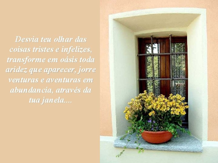 Desvia teu olhar das coisas tristes e infelizes, transforme em oásis toda aridez que