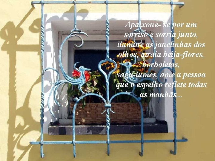 Apaixone- se por um sorriso e sorria junto, ilumine as janelinhas dos olhos, atraia